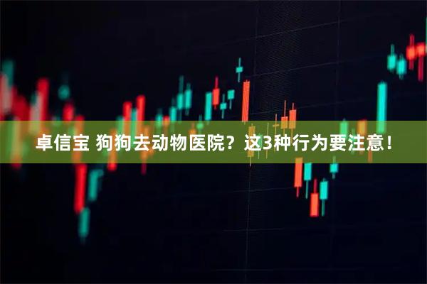 卓信宝 狗狗去动物医院？这3种行为要注意！