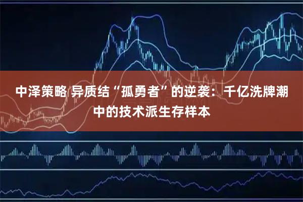 中泽策略 异质结“孤勇者”的逆袭:千亿洗牌潮中的技术派生存样本