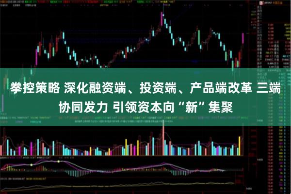 拳控策略 深化融资端、投资端、产品端改革 三端协同发力 引领资本向“新”集聚