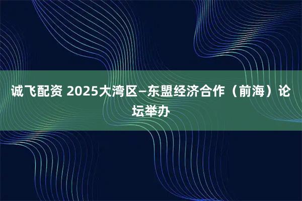 诚飞配资 2025大湾区—东盟经济合作（前海）论坛举办