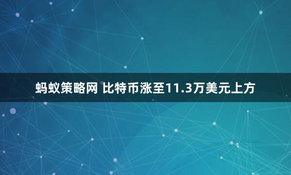蚂蚁策略网 比特币涨至11.3万美元上方